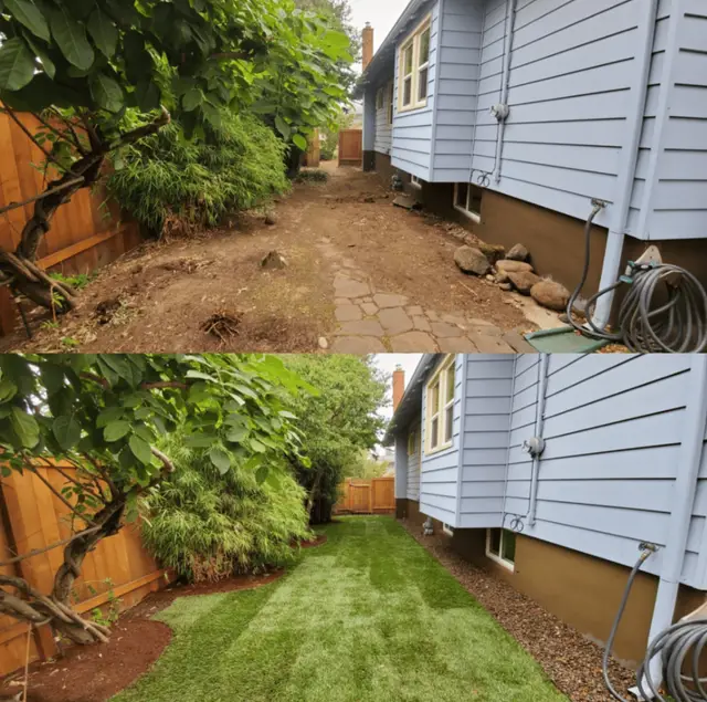 Before and after sod lawn installation along side yard in Beaverton OR – Oregon Quality Cuts